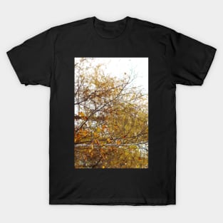 Stop and Stare T-Shirt